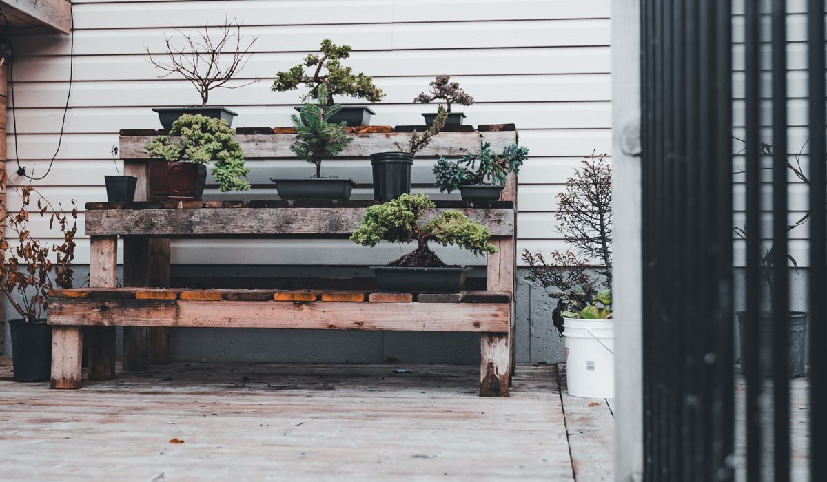 The Merry Yard