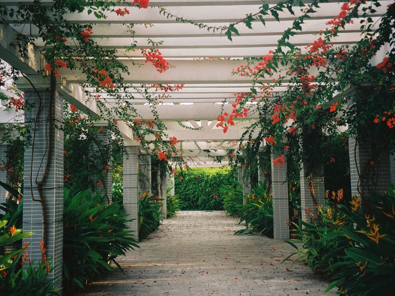 The Merry Yard