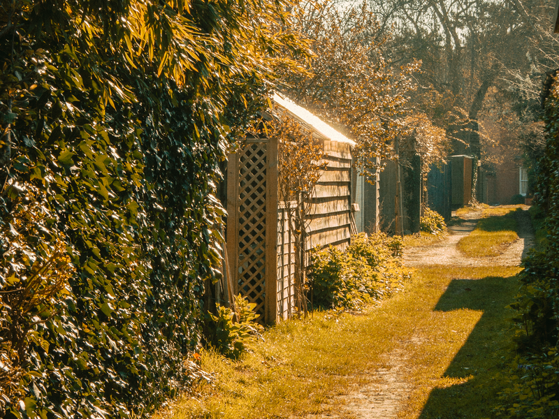 The Merry Yard