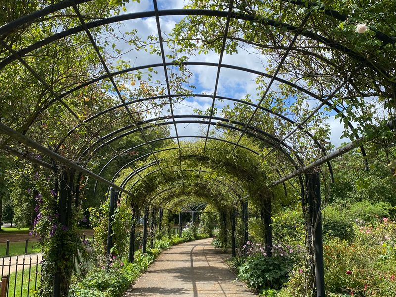 The Merry Yard