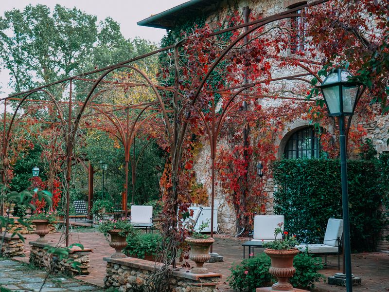 The Merry Yard